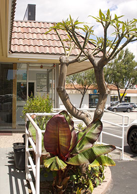 Side view of Plaza Inn Motel Rosemead with detailed architectural features and a spacious parking area